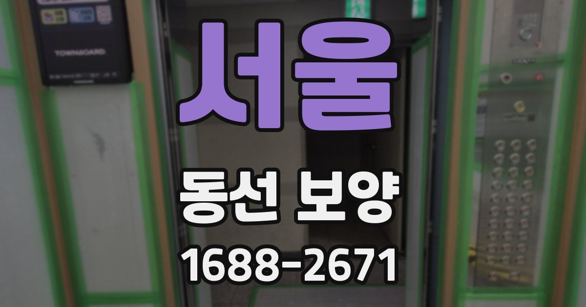 서울 동선 보양