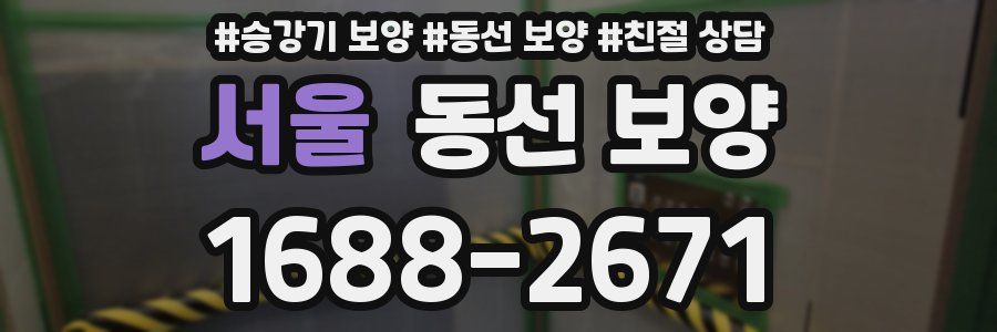 서울 동선 보양