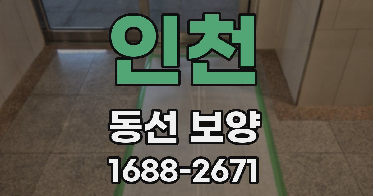 인천 동선 보양