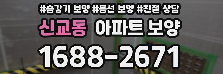 신교동 아파트 보양