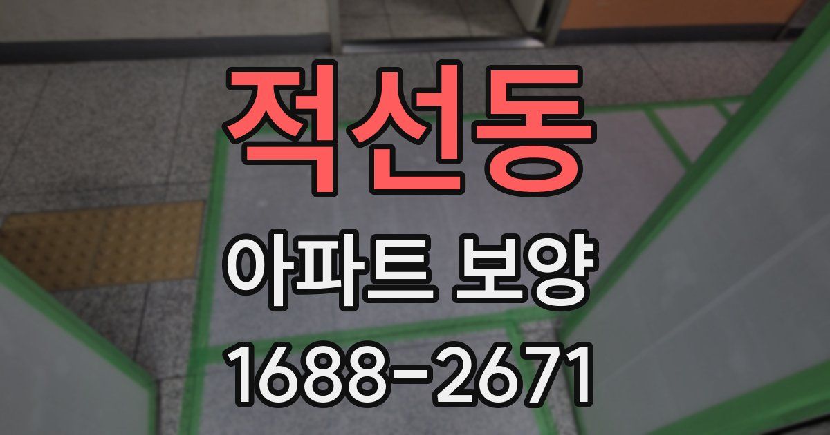 적선동 아파트 보양
