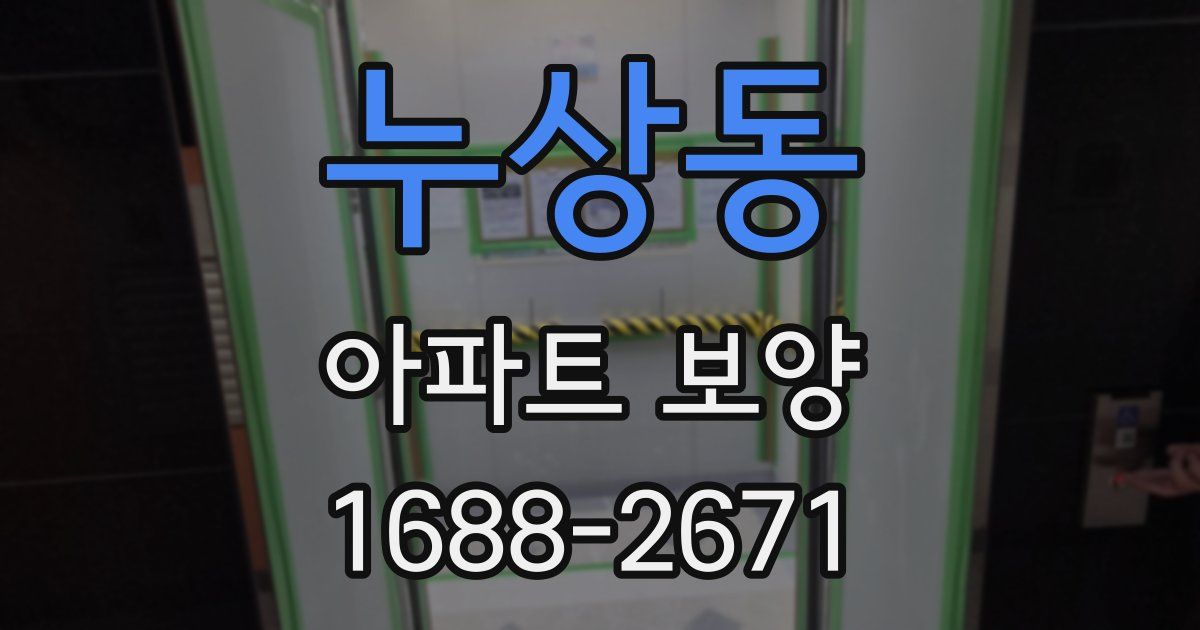 누상동 아파트 보양