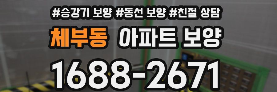 체부동 아파트 보양
