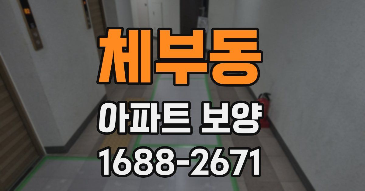 체부동 아파트 보양