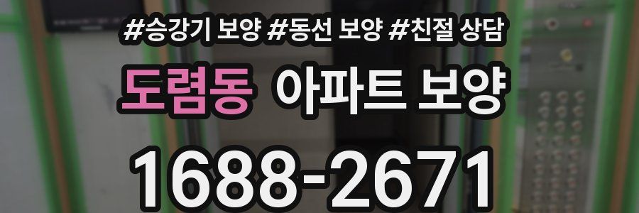도렴동 아파트 보양