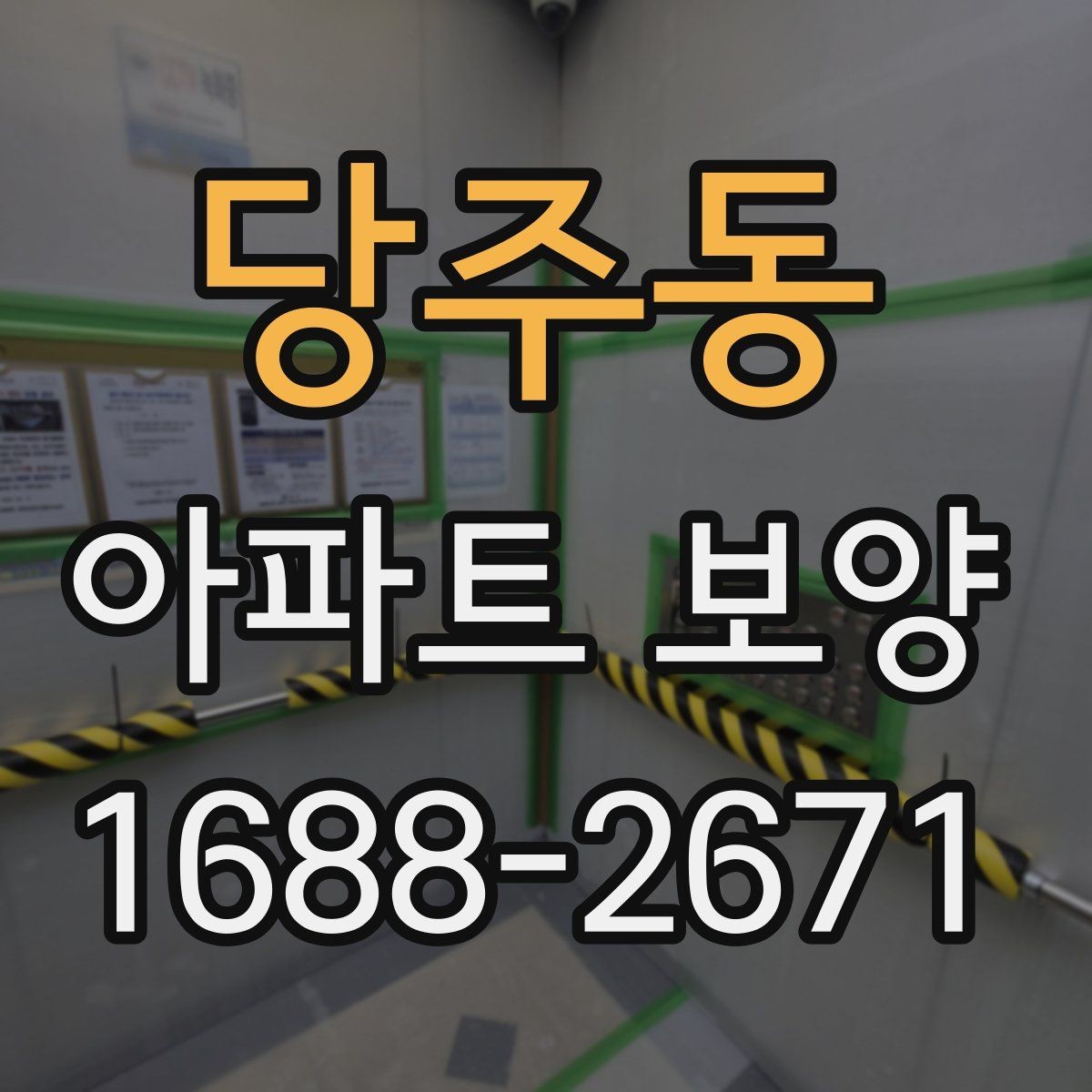 당주동 아파트 보양 현장별로 달라지는 관리 방식