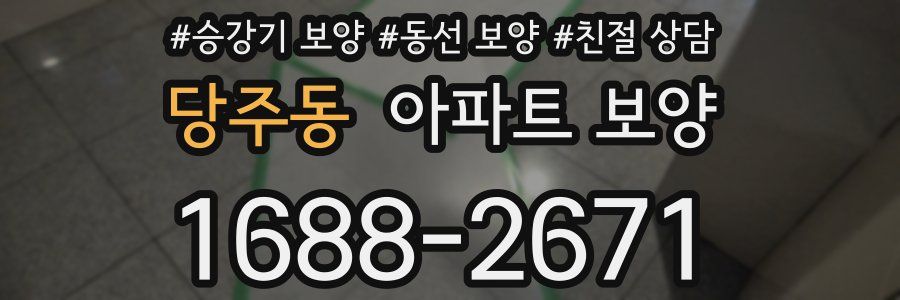 당주동 아파트 보양