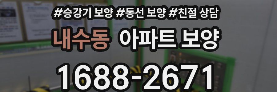 내수동 아파트 보양