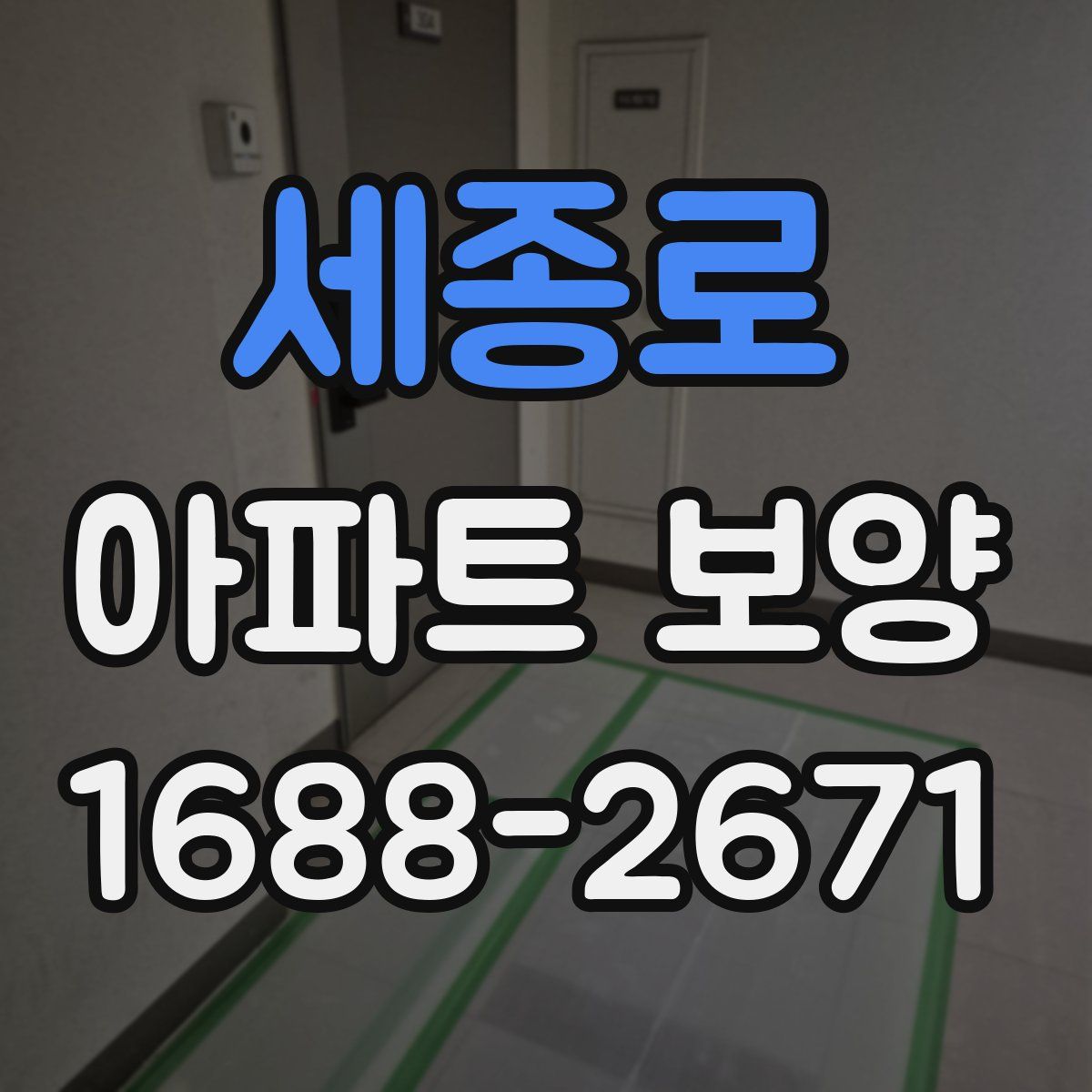 세종로 아파트 보양