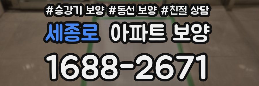 세종로 아파트 보양