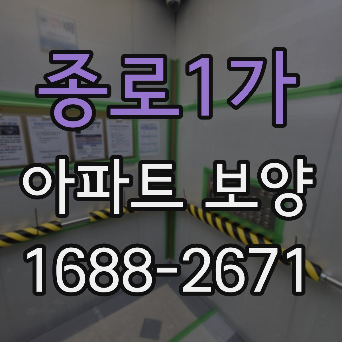 종로1가 아파트 보양