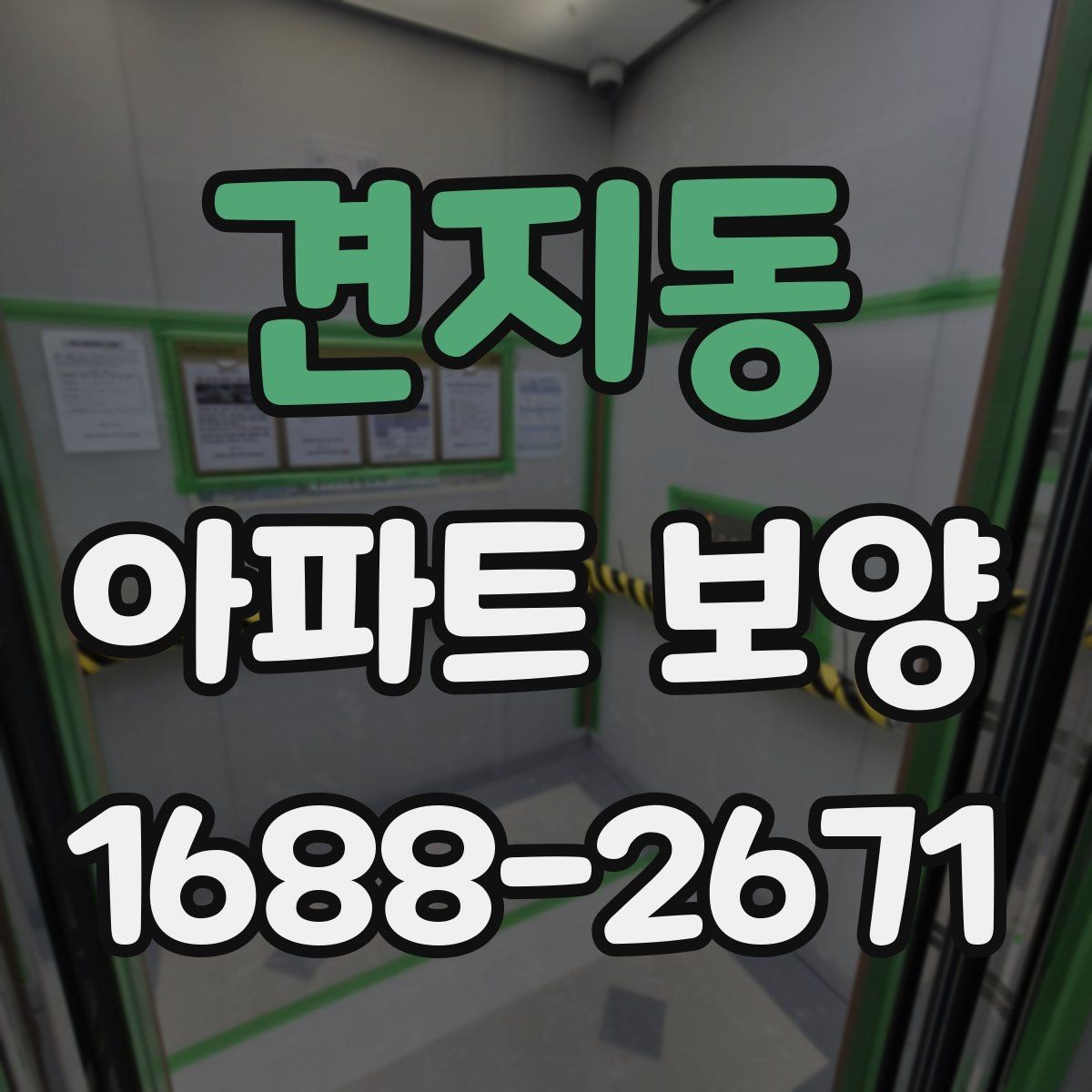 견지동 아파트 보양 시 보호 필름과 시트 활용 방법