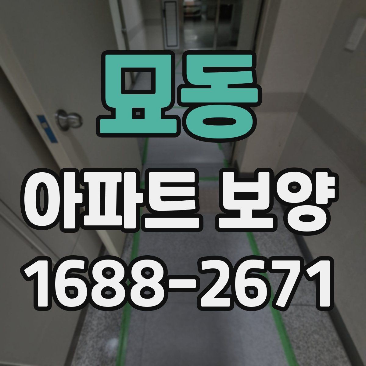 묘동 아파트 보양 전후 비교로 보는 변화