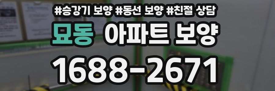 묘동 아파트 보양