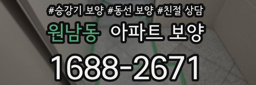 원남동 아파트 보양