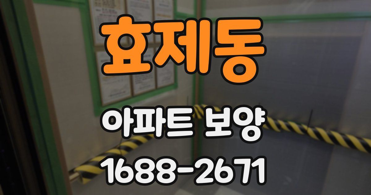효제동 아파트 보양