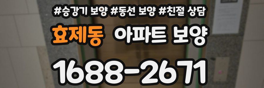 효제동 아파트 보양