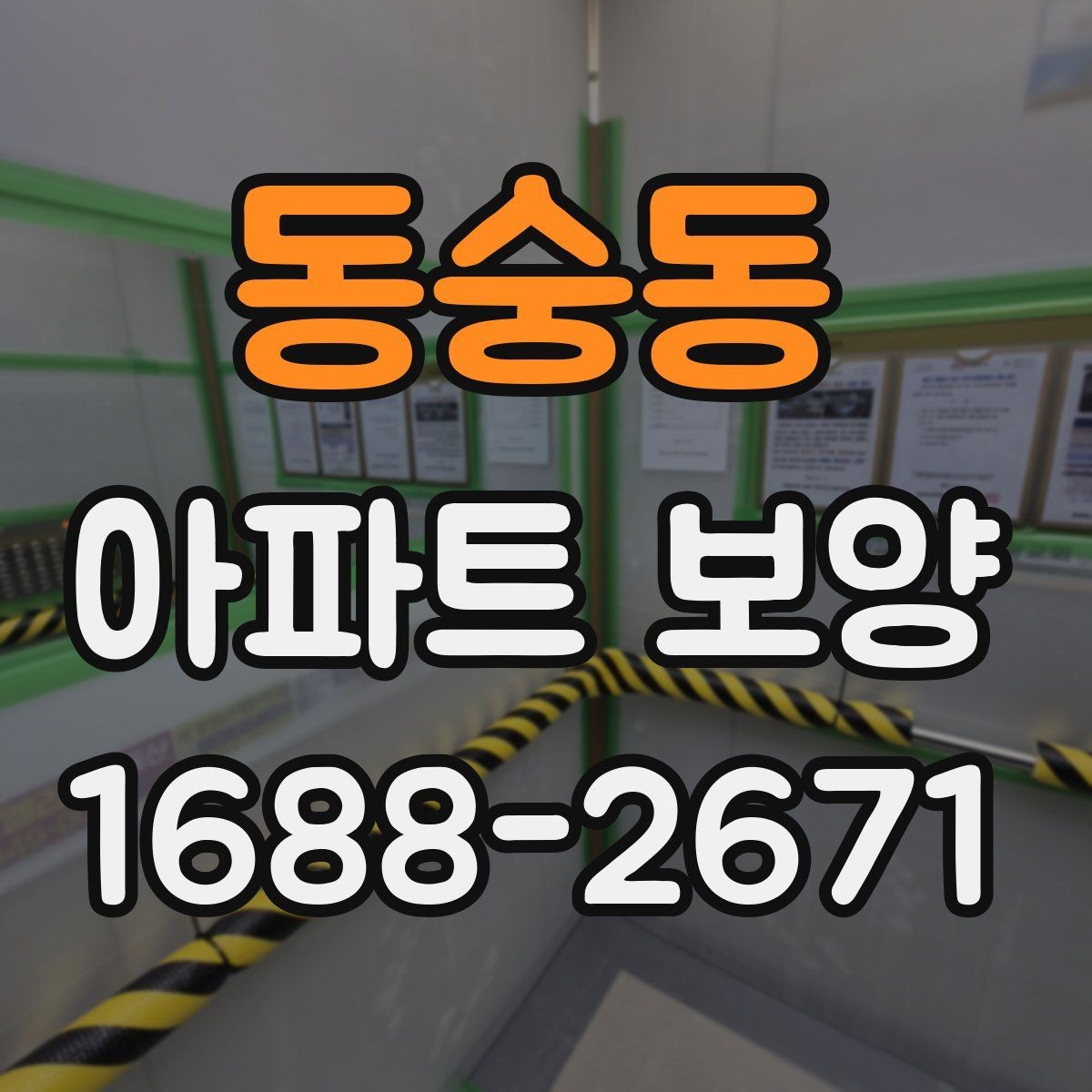 동숭동 아파트 보양 작업 중 손상 방지를 위한 팁