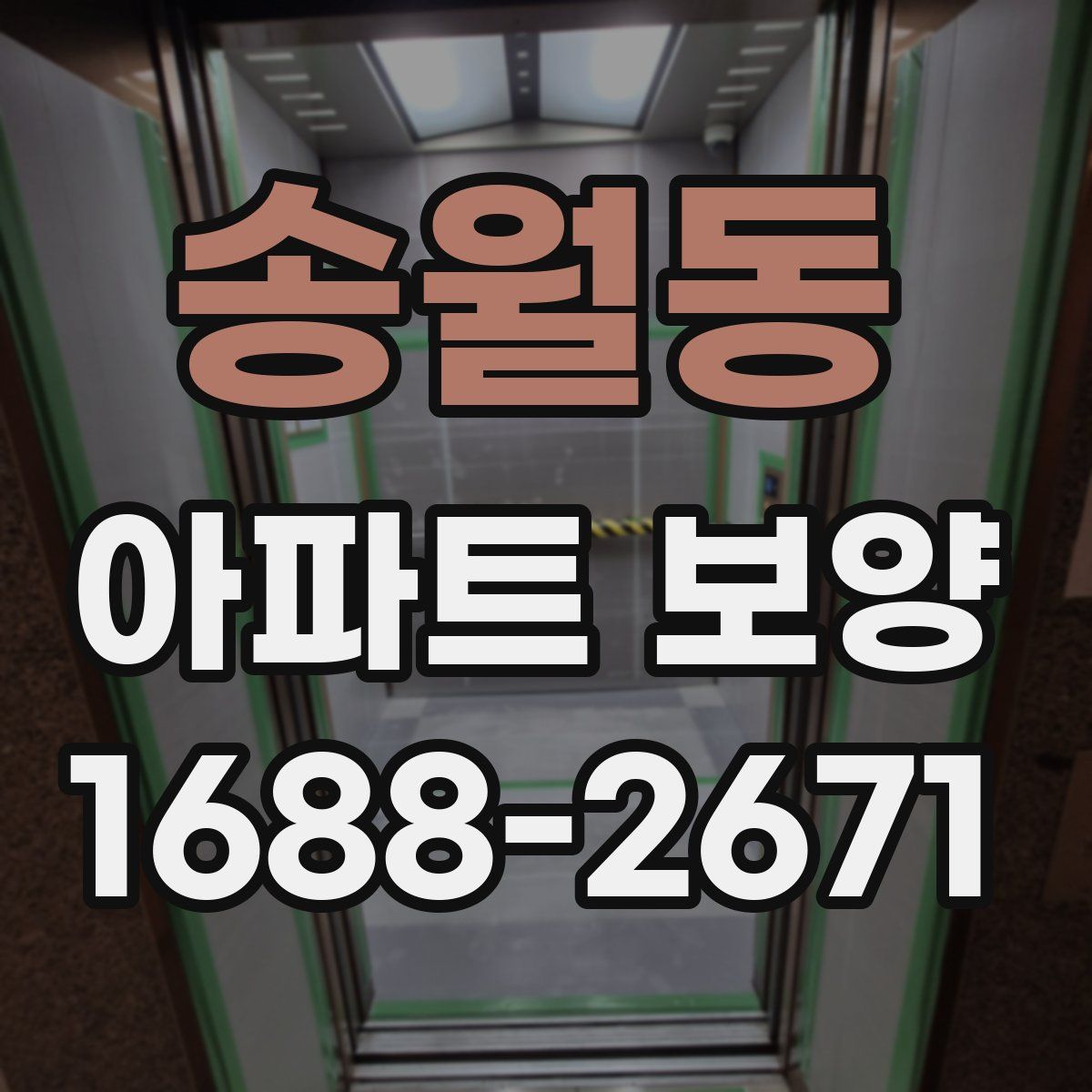 송월동 아파트 보양