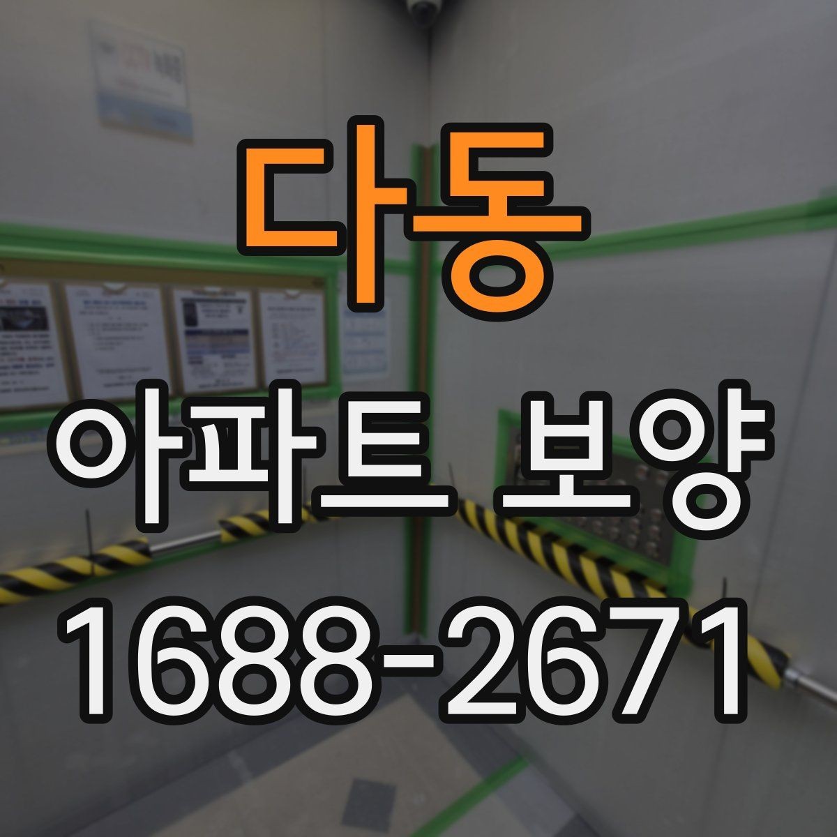 다동 아파트 보양 공정별 준비물과 역할