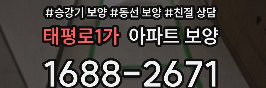 태평로1가 아파트 보양