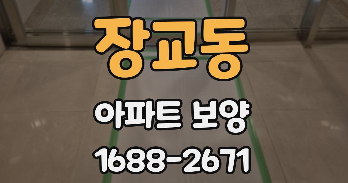 장교동 아파트 보양