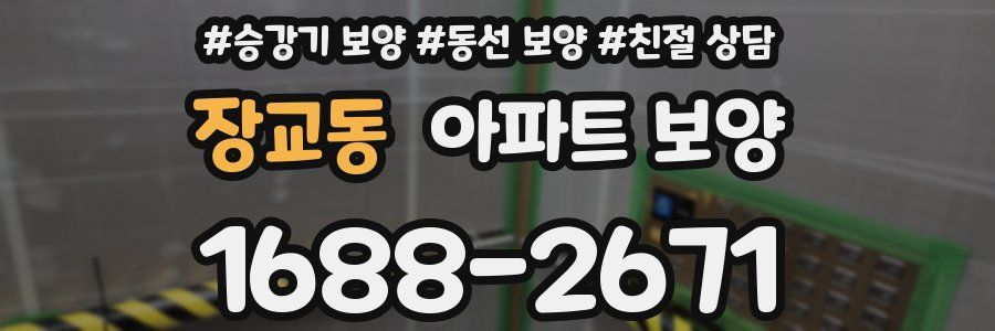 장교동 아파트 보양