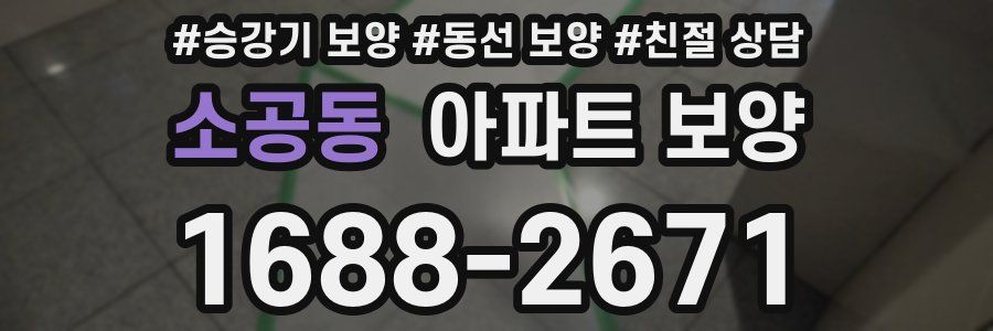 소공동 아파트 보양