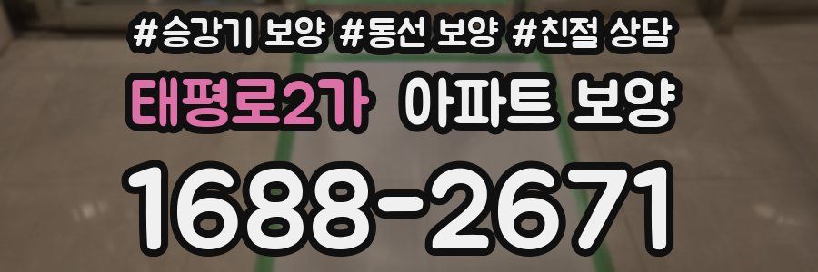 태평로2가 아파트 보양