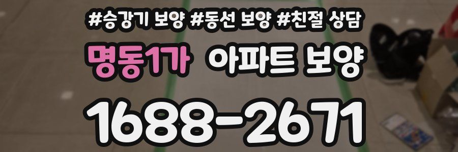 명동1가 아파트 보양
