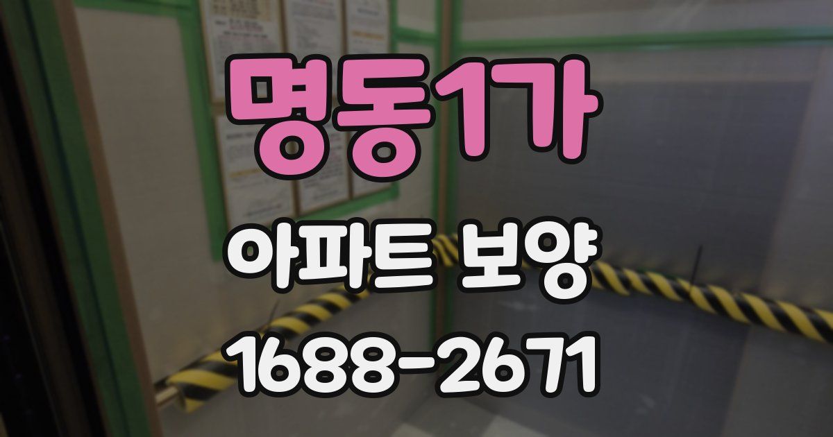 명동1가 아파트 보양