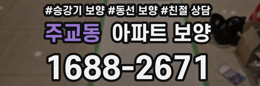 주교동 아파트 보양