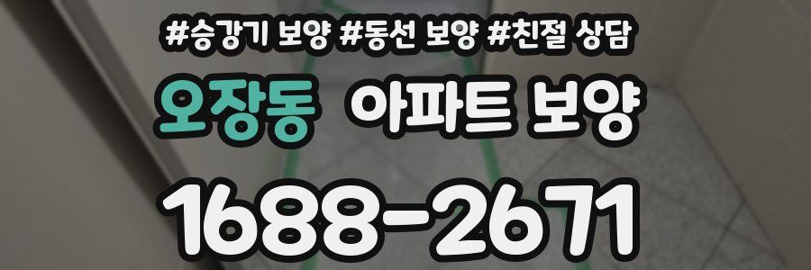 오장동 아파트 보양