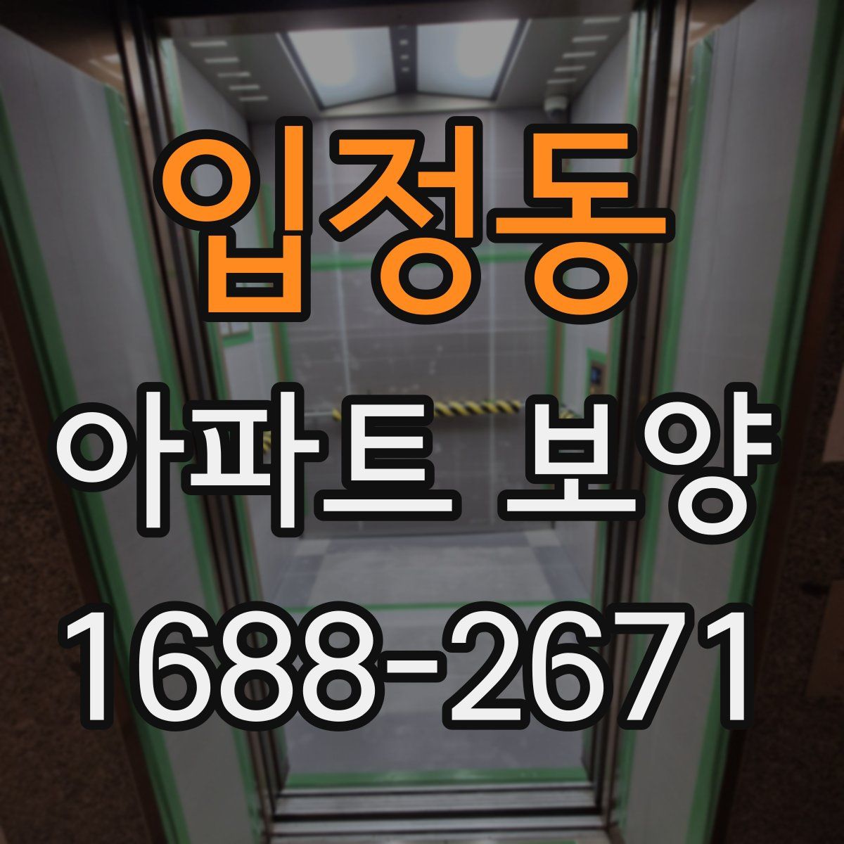 입정동 아파트 보양