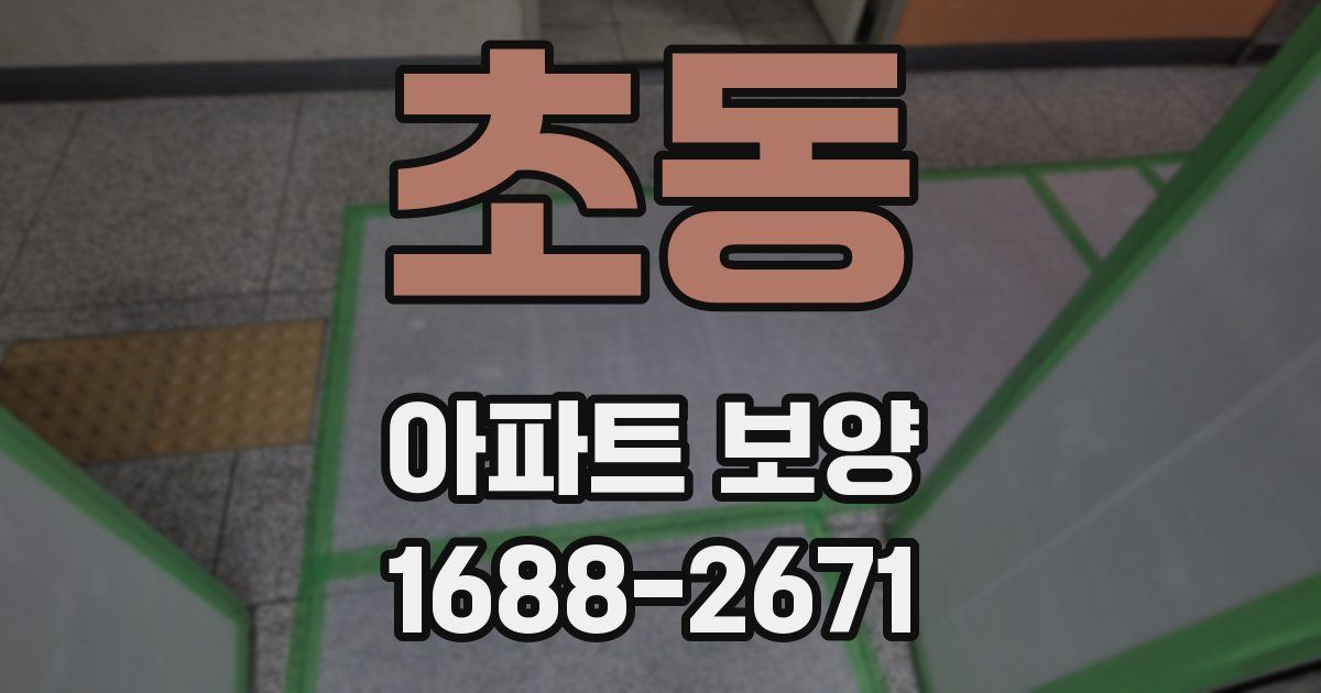 초동 아파트 보양