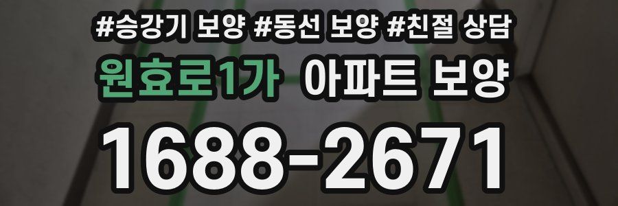 원효로1가 아파트 보양