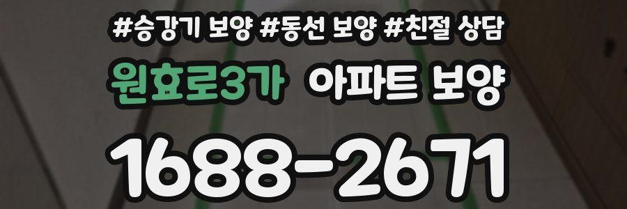 원효로3가 아파트 보양
