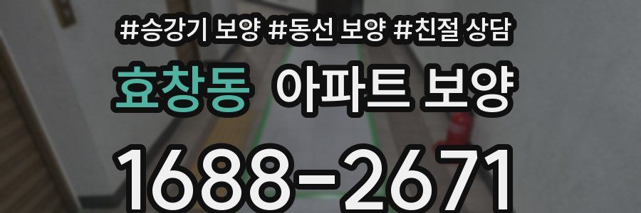 효창동 아파트 보양