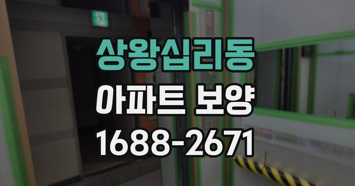 상왕십리동 아파트 보양