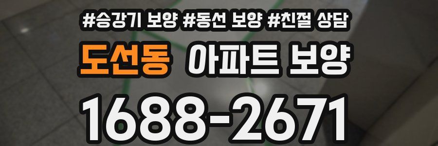 도선동 아파트 보양