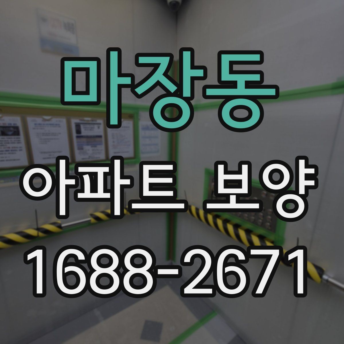 마장동 아파트 보양 자재 두께와 사용처 알아보기