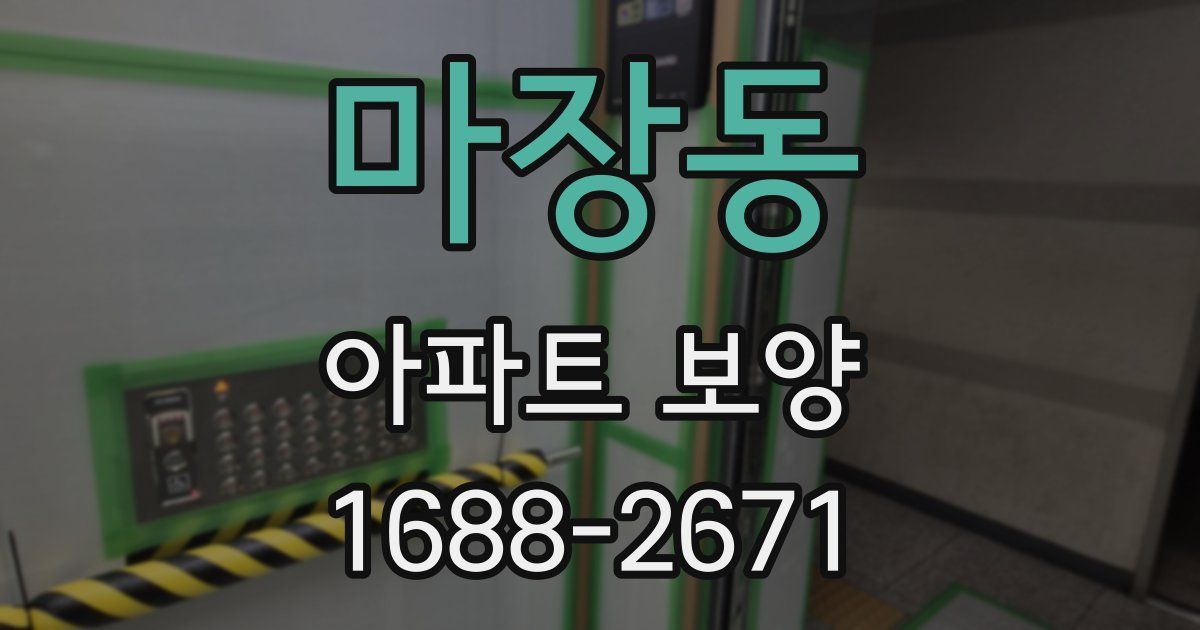 마장동 아파트 보양