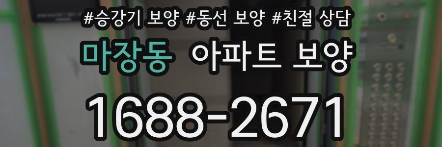 마장동 아파트 보양