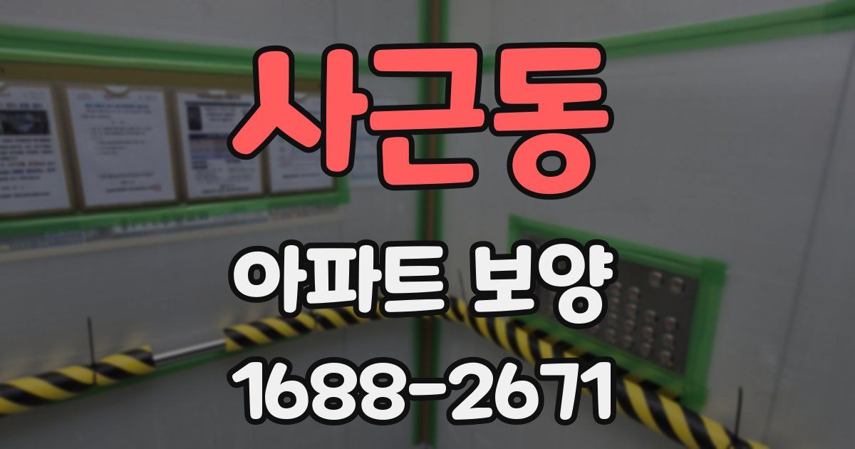 사근동 아파트 보양