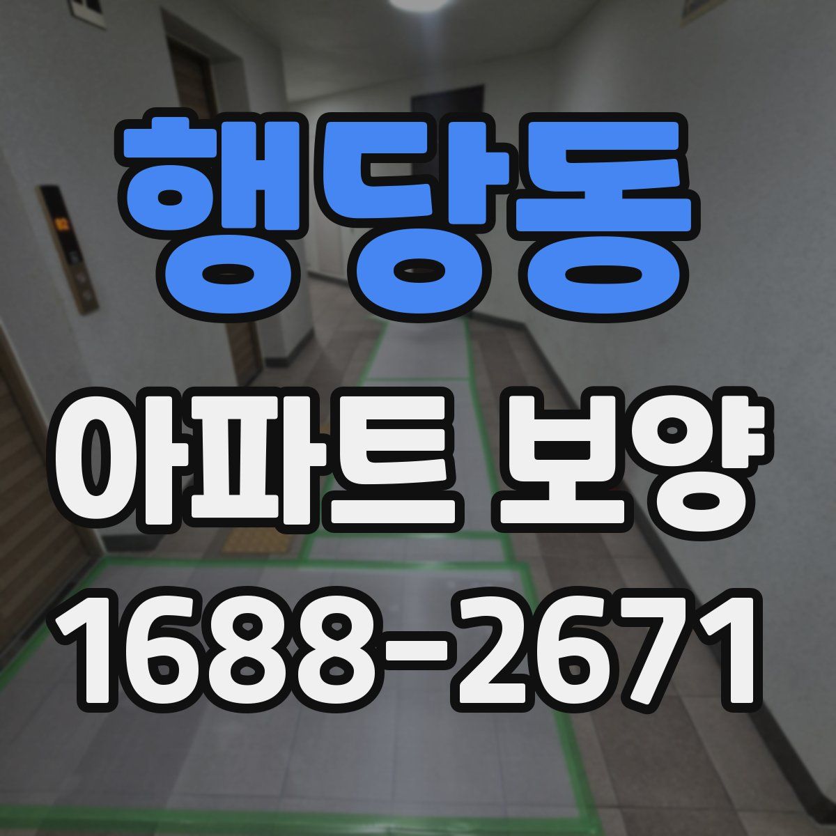 행당동 아파트 보양
