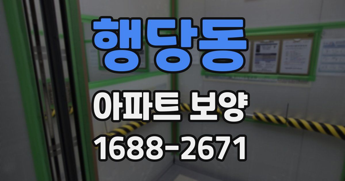 행당동 아파트 보양