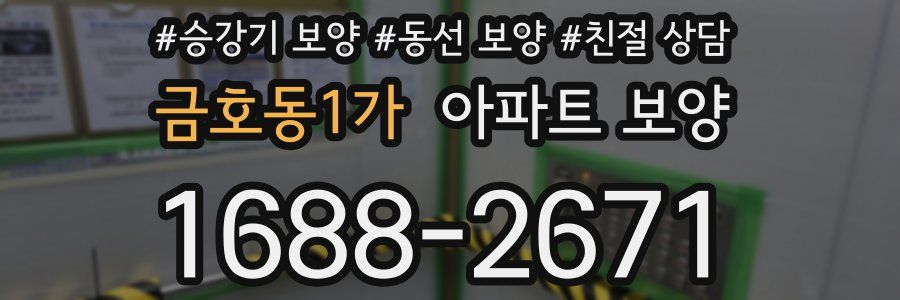 금호동1가 아파트 보양