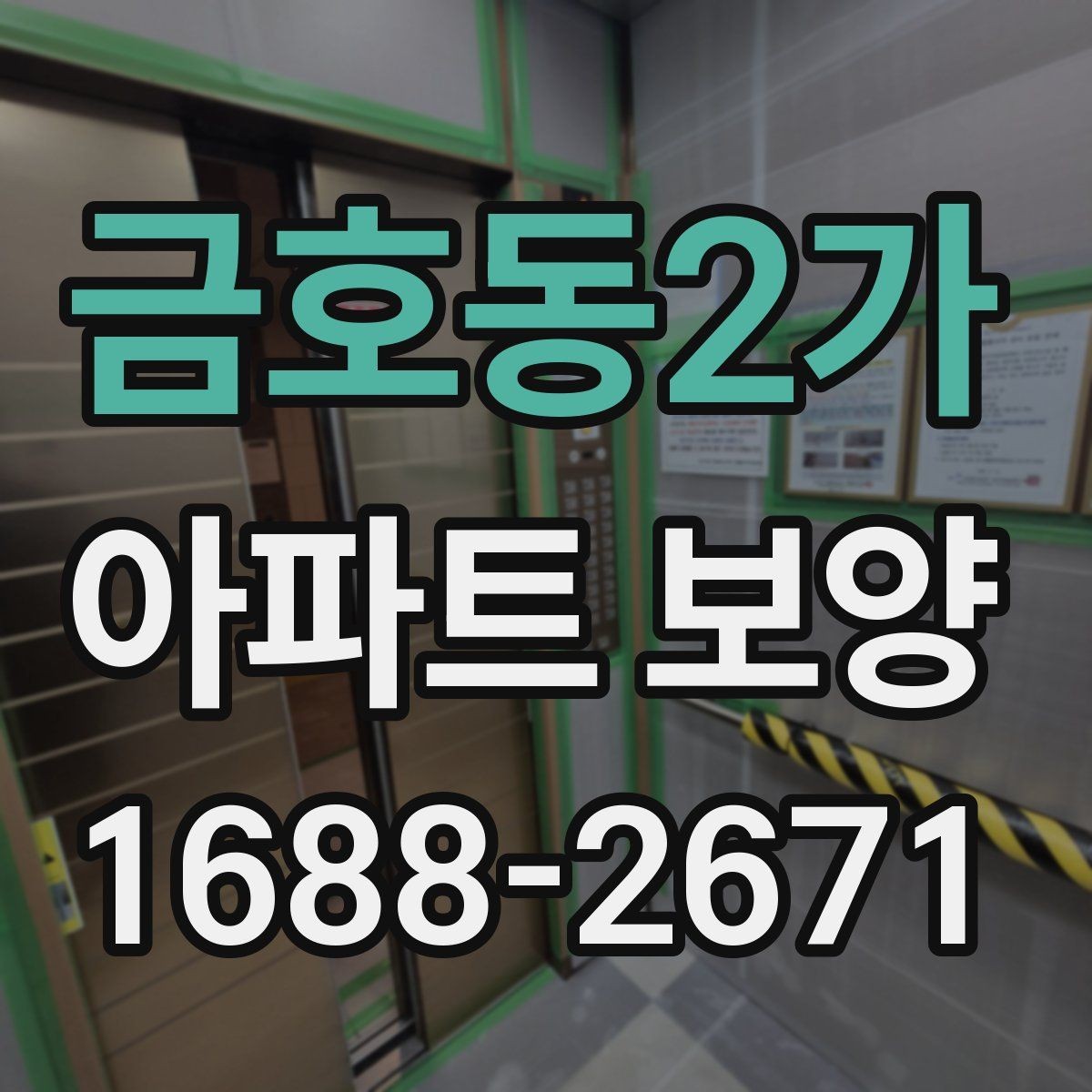 금호동2가 아파트 보양 비용이 달라지는 이유