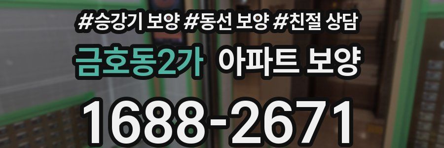 금호동2가 아파트 보양
