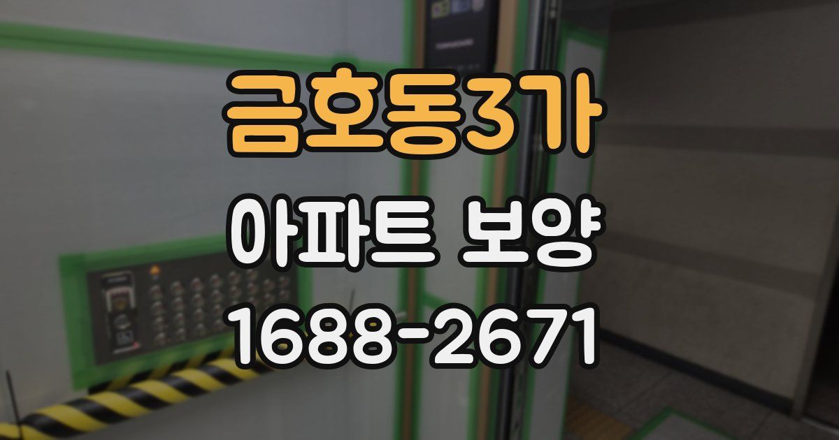 금호동3가 아파트 보양